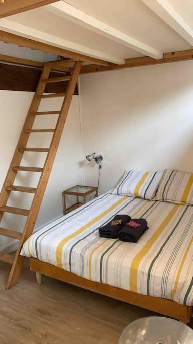 Le Saint-Lazare Appartement Au Calme Intra Muros Avignon Ngoại thất bức ảnh